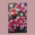 1000023495.png