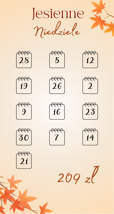 13.png
