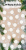 AE4.png
